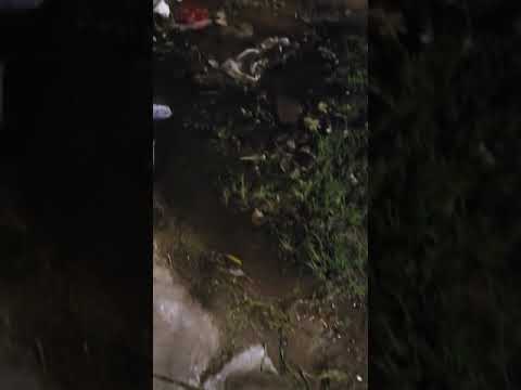 Pérdida de agua en avenida Virgen del Valle: "Desde que el caño está roto pago una fortuna"