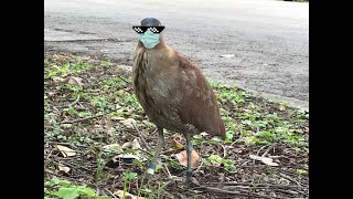 [校園] 畢業歌拉票文peko