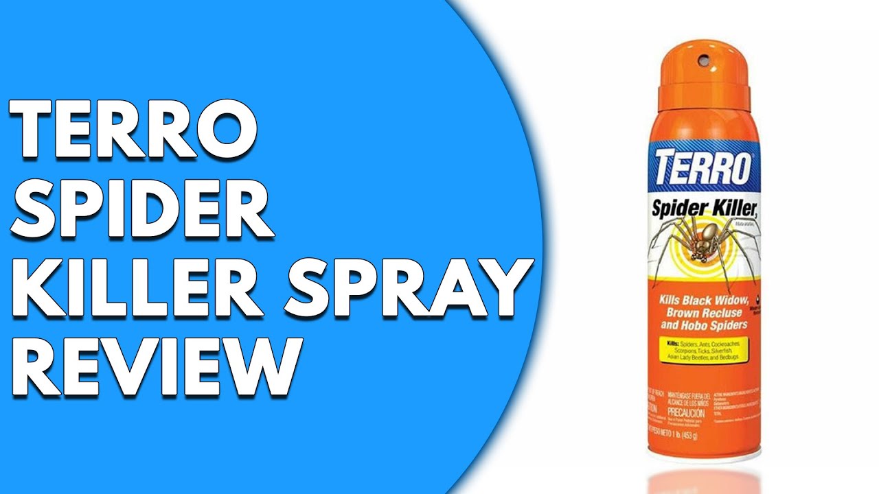 Terro Spider Killer Spray Review: WATCH Before You BUY!