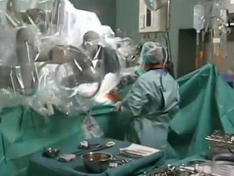 Behandlung von Prostatakrebs Novosibirsk Prostatagröße bei Hunden ist normal