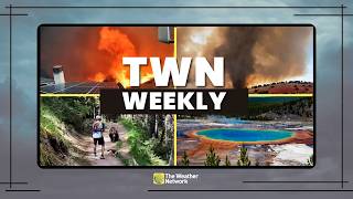 Top weather stories of the week | #TWNweekly