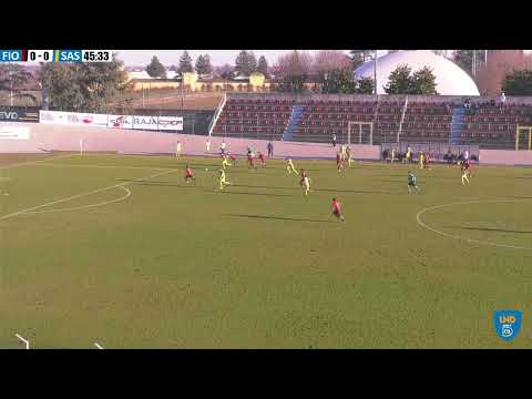 Highlights: U.S. Fiorenzuola vs Sasso Marconi 1-2