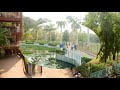 Saras Baug