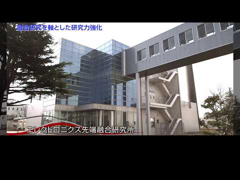 3Research Institute for Technological Science and Innovation (RITI)