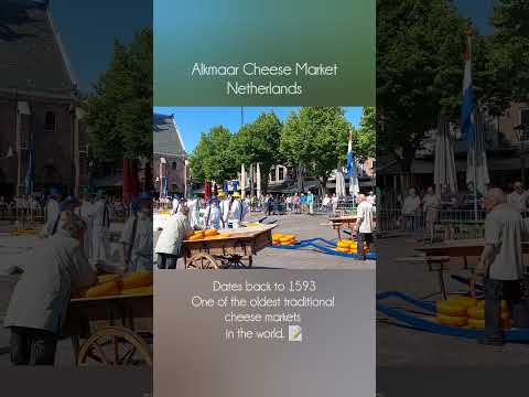 One of the World's Oldest Traditional Cheese Market | Alkmaar Cheese Market | Netherlands