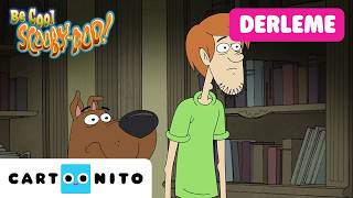 Gizemli Maceralar | SAKİN OL SCOOBY SOO | @CartoonitoTurkiye