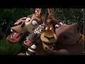 Madagascar Dreams Disasters