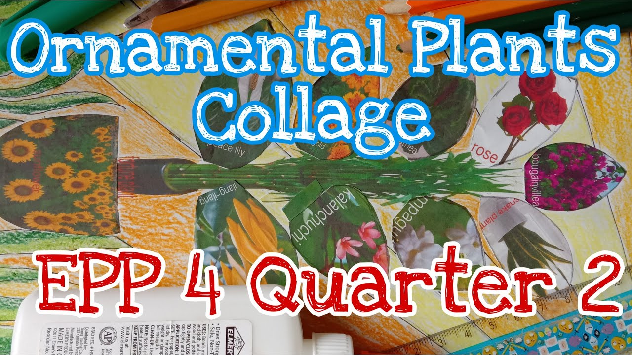 Putar video Ornamental Plants Collage | EPP4 | Kirsten Penolio sekarang Ornamental Plants Collage | EPP4 | Kirsten Penolio