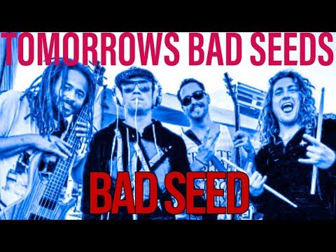 Bad Seeds - @TomorrowsBadSeeds