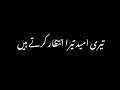Teri Ummed Tera Intezar Karte Hain Black Screen Status Urdu Lyrics Song Szwrites Subscribe