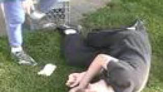 Taco Song by NHOI (Original Edition)