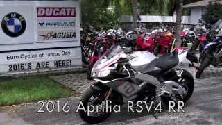 2016 Aprilia RSV4 RR Bucine Grey at Euro Cycles of Tampa Bay