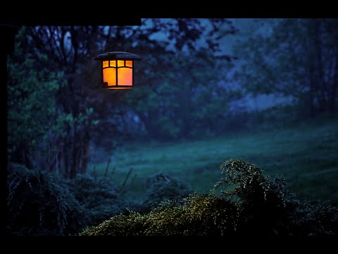 Musica instrumental  - DURMA EM 5 MINUTOS   - Tela preta