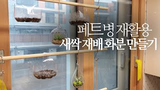 페트병 재활용. 예쁜 새싹 재배 화분 만들기 233화 #해맑은TV