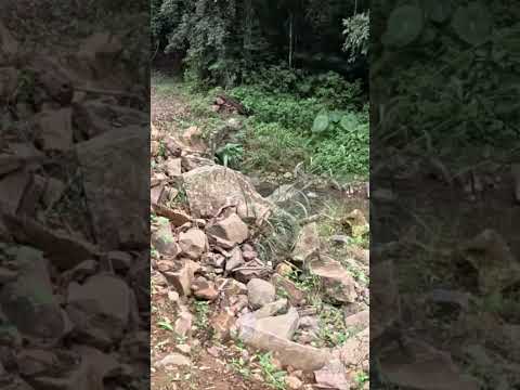 O Que Existe no Final Dessa Trilha? #trilha #floresta #misterio #exploração #riograndedosul