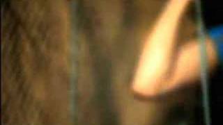 Brothers and Sisters - Breathing Lessons