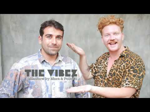 The Vibez 02 ★ House Music Mix by Maex DJ & Point85