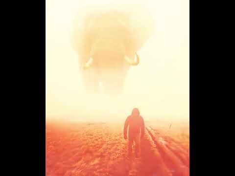 Odyssey of Noises - Firedance ( Klopfgeister Bootleg )