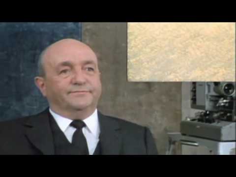 Le Distrait   (Pierre Richard) avec la pâtée Casimire...   Bernard Blier  et  Romain Bouteille...