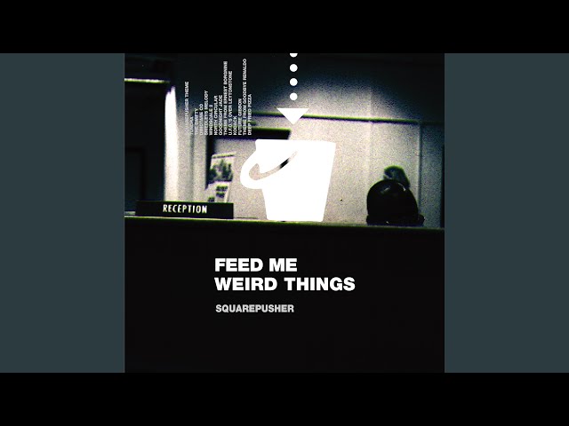 La historia y la música de Squarepusher, un artista de culto