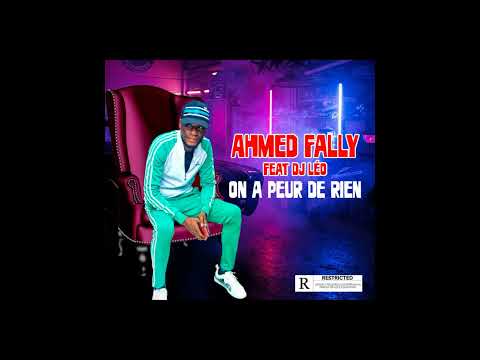 HAMED FALLY feat DJ LEO - ON A PEUR DE RIEN