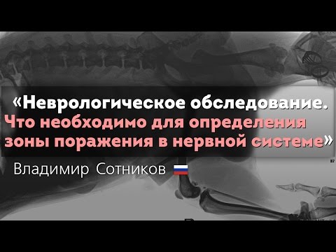 Неврологическое обследование. Что необходимо для определения зоны поражения в нервной системе