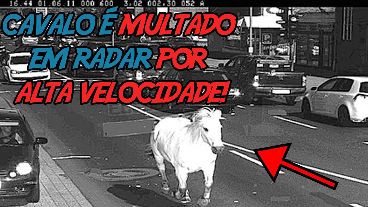 6 Notícias mais bizarras que Você já viu