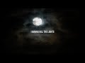 Hozier - De Selby (Part 2) (Official Lyric Video)
