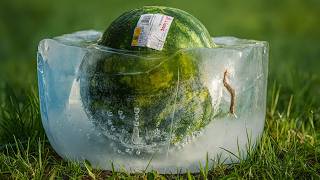 A WHOLE F**** WATERMELON UNTIL IT BECOMES DUST