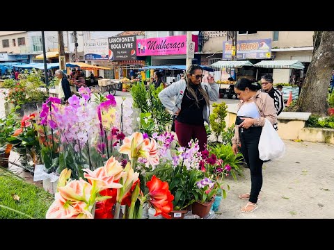 FEIRA DAS FLORES ÓTIMO PRESENTE PARA AS MÃES EM SÃO BENEDITO CEARÁ 08/05/26