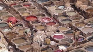 preview picture of video 'Piel Curtida y teñida, pintada en el zoco de Fez, Marruecos.'