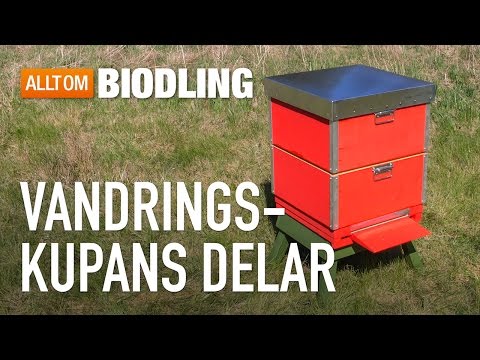 Vandringskupa / uppstaplingskupa  - Bikupa - Biredskap - Biodling