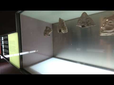 Augusteum (Cartagena) - Archeology World Cp63