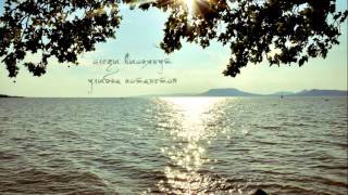 Mogwai - Slight Domestic