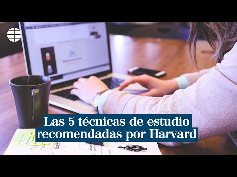 Las 5 mejores técnicas de estudio según Harvard