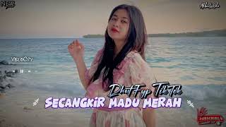 Download lagu Lagu Remix Velocity - Dangdut Secangkir Madu Merah || Lagu Acara Terbaru || AkbarLaOde mp3 Download lagu Lagu Remix Velocity - Dangdut Secangkir Madu Merah || Lagu Acara Terbaru || AkbarLaOde mp3