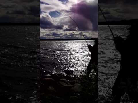 Heikin 12.5kg Matkakoski