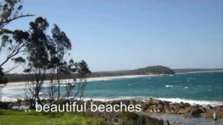 preview picture of video 'Dog Friendly Holiday House NSW South Coast'