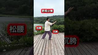 孫建明#china武術 #太極拳 #太極養生 #初心者向け #