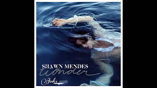 Wonder–shawn mendes(cover by JOSH)