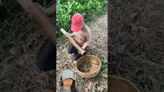 Download lagu #cara #mudah #menangkap #belut #mengunakan #bambu #dan #umpan mp3 Download lagu #cara #mudah #menangkap #belut #mengunakan #bambu #dan #umpan mp3