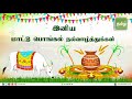 Mattu Pongal Whatsapp Status Tamil Happy Mattu Pongal Status Tamil 2022 Mattu Pongal Status 2022