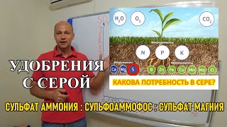 Удобрения с серой - эффективность: дефицит, вынос, избыток