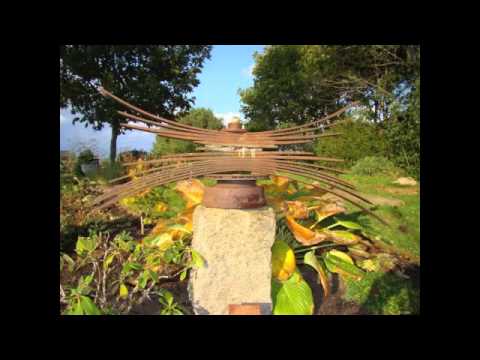 The World of Dianne S. Hire