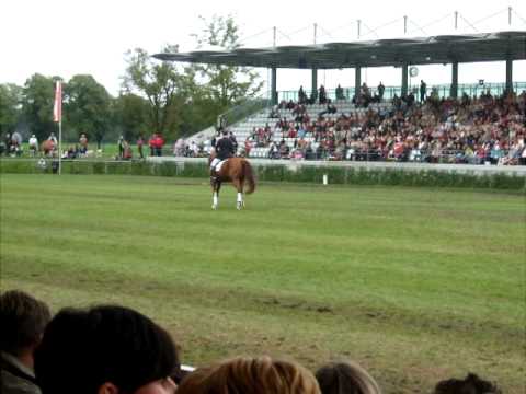 LORD FANTASTIC auf der Hengstparade Neustadt/Dosse 2011