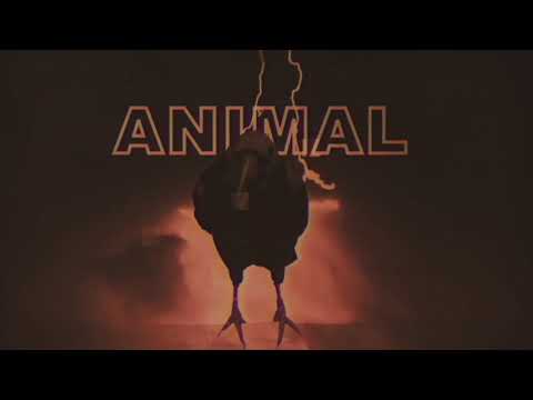 Raviner - ANIMAL (Official Music Video)