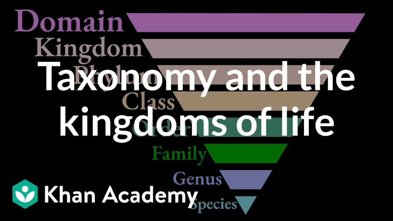 Taxonomy and the kingdoms of life | Middle school biology | Khan Academy
