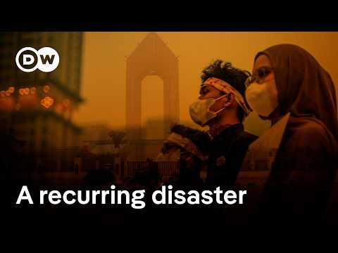 Why can’t Indonesia get ahead of its smog problem? | DW News