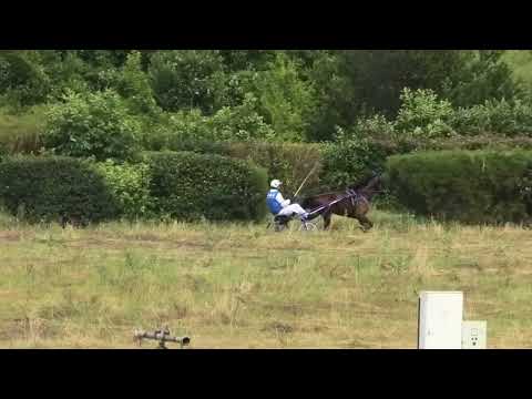 Požarevac-07.07.2023, Belina & D. Stojiljković