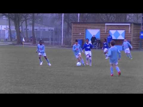 Samenvatting Hermes DVS E1 - LMO E1